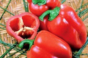 Опис сортів перцю для теплиці з полікарбонату: для початківців і досвідчених садівників