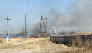 Сонник Трава: суха висока у сні бачити до чого сниться?