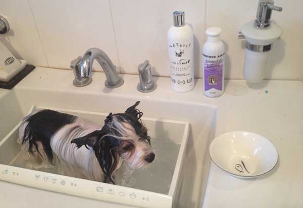 Дельтаметрин   інструкція із застосування й побічні ефекти