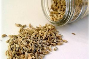 Кріп: користь і шкоду для здоровя, застосування в народній медицині