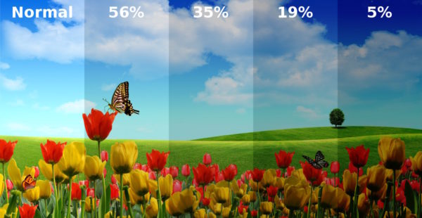 Плівка на вікна чотирьох різних типів: як наклеїти самому? Плівка на вікна чотирьох різних типів: як наклеїти самому?