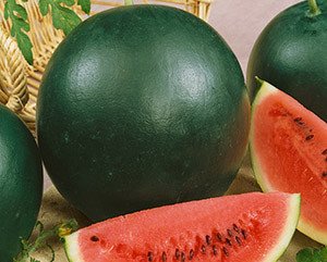 Ранні і скоростиглі сорти кавунів — огляд кращих видів та відгуки