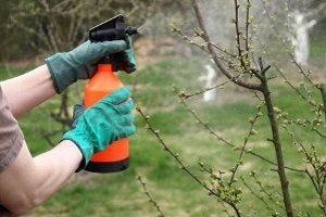 Обприскувач для дерев: огляд моделей, характеристики та поради при купівлі