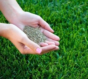 Як зробити экопарковку на дачі своїми руками — відео