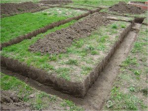 Як правильно зробити мелкозаглубленний стрічковий фундамент своїми руками: етапи будівництва, покрокова відео інструкція