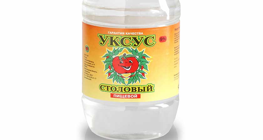 Як боротися з клопами в квартирі в домашніх умовах
