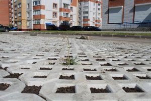 Як зробити экопарковку на дачі своїми руками — відео