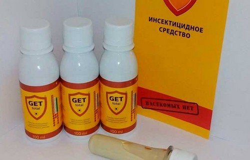 Людська блоха: фото, поширювані захворювання і як позбутися