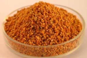 Амброзія — фото рослини і чим воно небезпечне