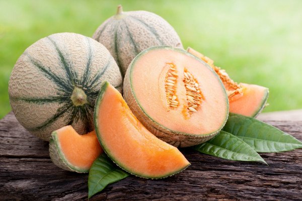 Диня Канталупа (мускусна): опис властивостей, правила вживання і фото