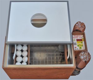 Модельний ряд інкубатора Бліц — докладний огляд для птахівників