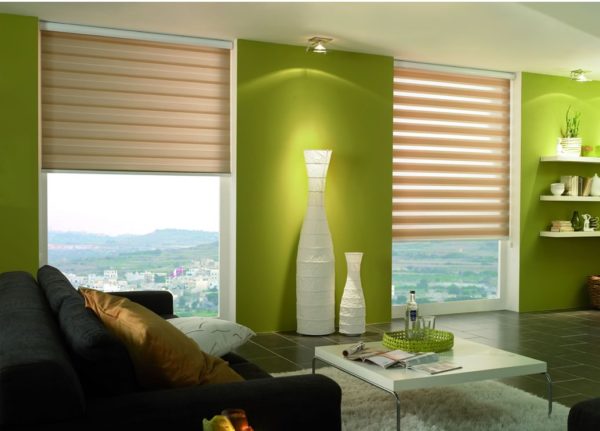 Жалюзі на пластикові вікна — 9 видів виробів