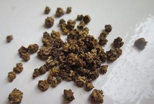 Листова буряк Мангольд: вирощування і зберігання морозостійкого сорту