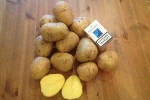 Картопля «Гала»: опис сорту з фото і відгуки садівників