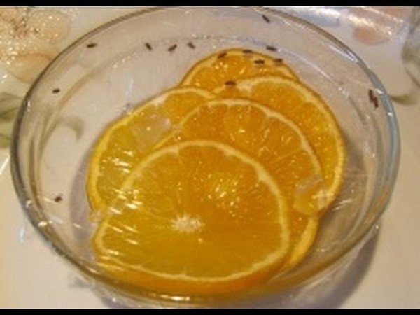 Винні мошки – як вивести простими способами