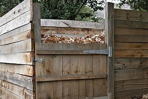 Компостна яма своїми руками: вибір правильного місця і варіанти виготовлення, поради фахівців