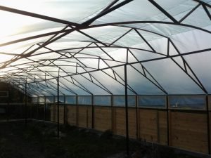 Зимова теплиця: як побудувати своїми руками і забезпечити себе свіжими овочами цілий рік