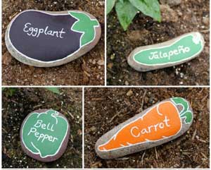 25 лайфхаков для дачі, саду та городу