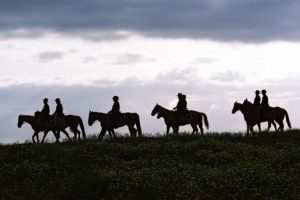 Сонник Вершник на коні без Голови у сні бачити Сонник Вершник на коні без Голови у сні бачити
