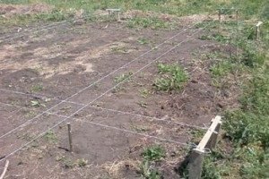 Стрічковий фундамент своїми руками — покрокова інструкція