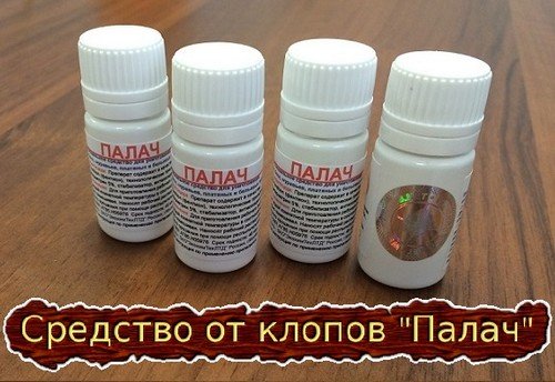 Клопи у будинку: звідки беруться і як позбутися самостійно