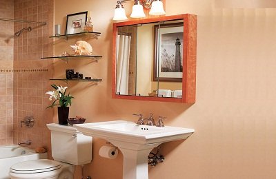 Інтерєр ванної кімнати поєднаної з туалетом: дизайн з фото