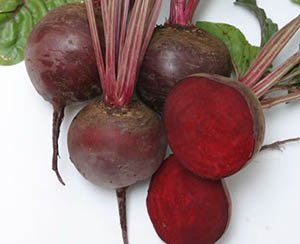 Вирощування буряків в Підмосковї: кращі сорти для відкритого ґрунту