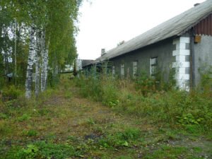 Сонник Трава: суха висока у сні бачити до чого сниться?