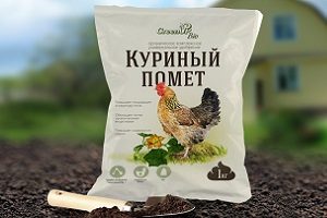 Підгодівля полуниці навесні — добрива та догляд