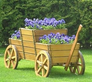 Як зробити красиву клумбу з багаторічників: ідеї, підбір кольорів, покрокова інструкція, схеми та фото