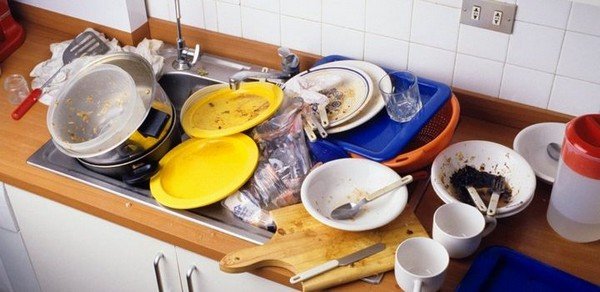 Дрозофіли: як позбутися від шкідників самостійно?