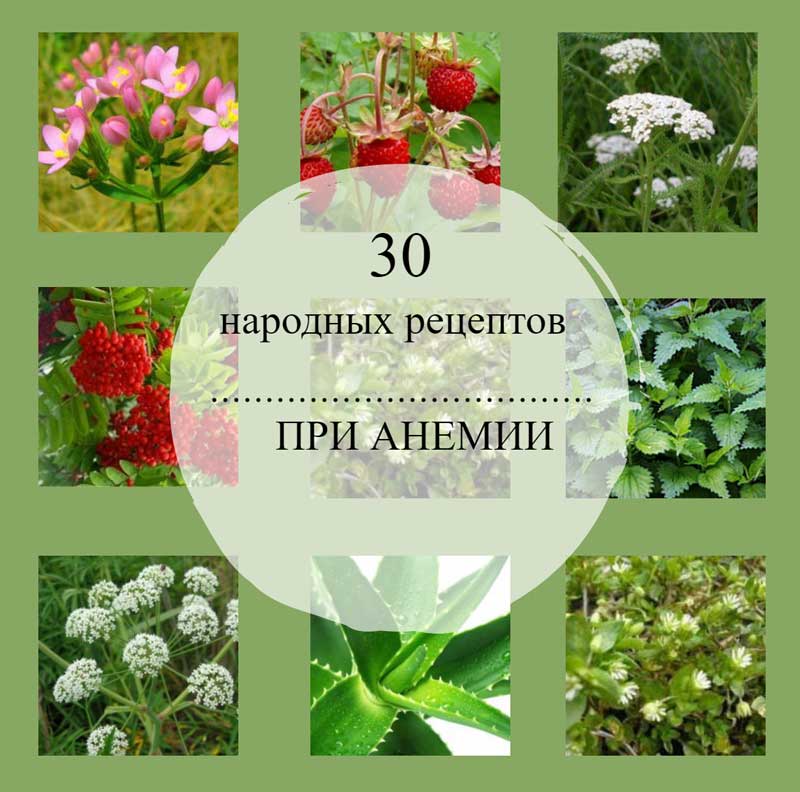 Як лікувати анемію народними засобами?