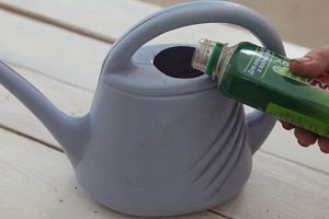 Корневін: ефективний і недорогий стимулятор росту коренів