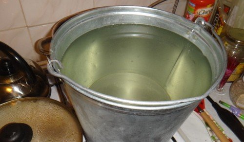 Дельцид обробка квартири   правила застосування