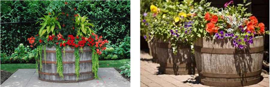 Цікаві ідеї для клумби своїми руками