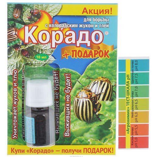 Як позбутися від попелиці за допомогою перевірених засобів