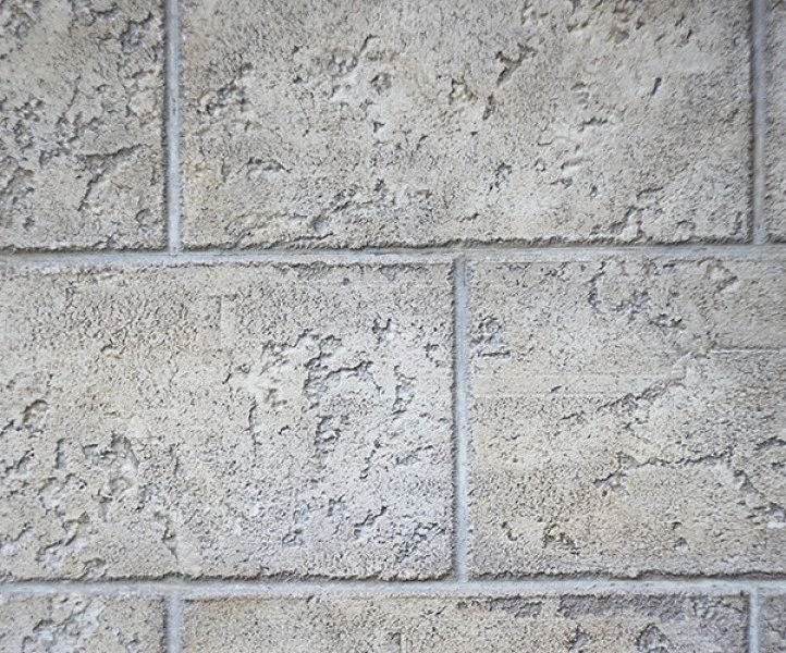 Декоративна штукатурка короїд фото