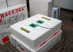Інкубатор «Ідеальна квочка»: технічні особливості, основні переваги та недоліки