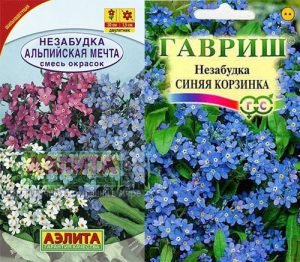 Незабудка як символ любові, краси і ніжності: популярні види і кращі фото квітів