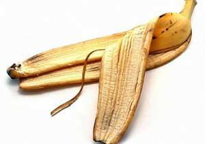 25 лайфхаков для дачі, саду та городу