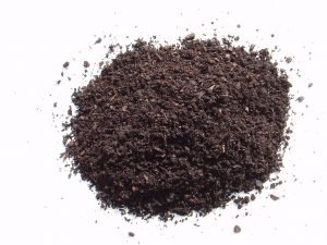 Грунт для розсади перцю — як підготувати землю для посіву