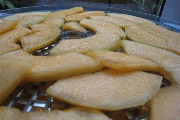 Сушена диня: корисні властивості, протипоказання, калорійність і рецепт приготування