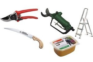 Як обрізати яблуні восени: схема, правила і відео інструкція