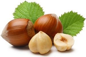 Як виглядає ліщина: фото дерева і листя, опис і особливості агротехніки