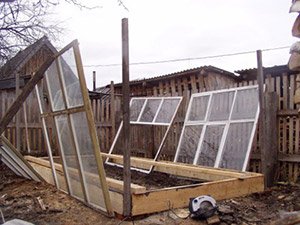 Теплиця з віконних рам своїми руками: матеріали, конструкція, етапи робіт, креслення, відео інструкція