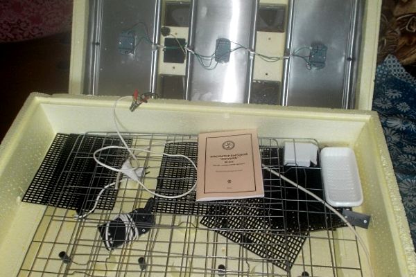 Опис інкубатора «Попелюшка»: принцип роботи і технічні характеристики