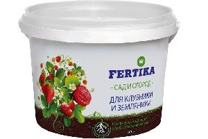 Підгодівля полуниці навесні — добрива та догляд