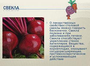 Буряк: корисні і шкідливі властивості, а так само варіанти застосування