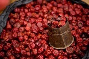 Користь і шкода вишні для здоровя: склад плодів, їх лікувальні властивості та застосування