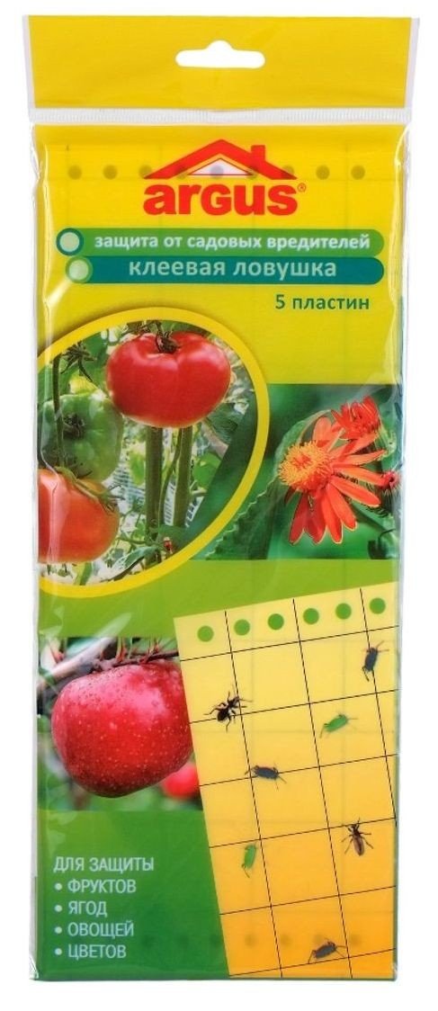 Кошти від попелиці – вибираємо ефективний інсектицид